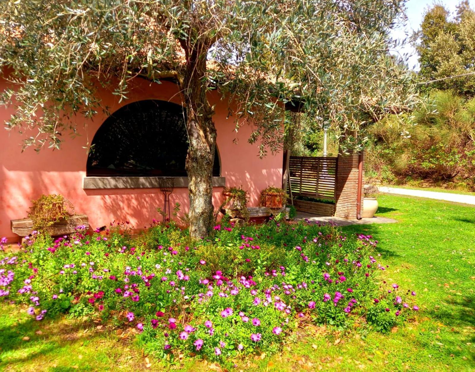 La Chiesuola Bed and Breakfast Bagnaia  Eksteriør billede