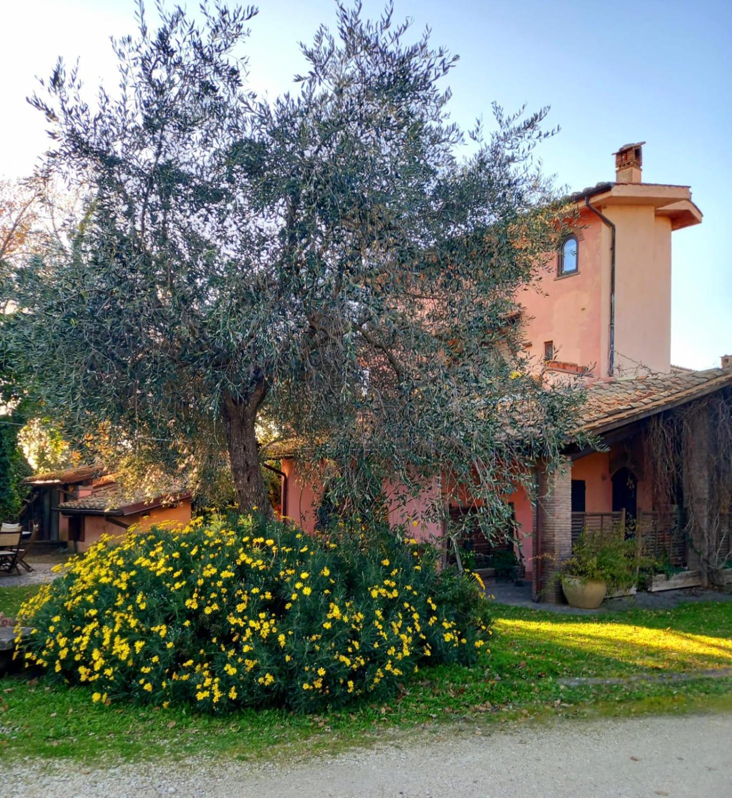La Chiesuola Bed and Breakfast Bagnaia  Eksteriør billede