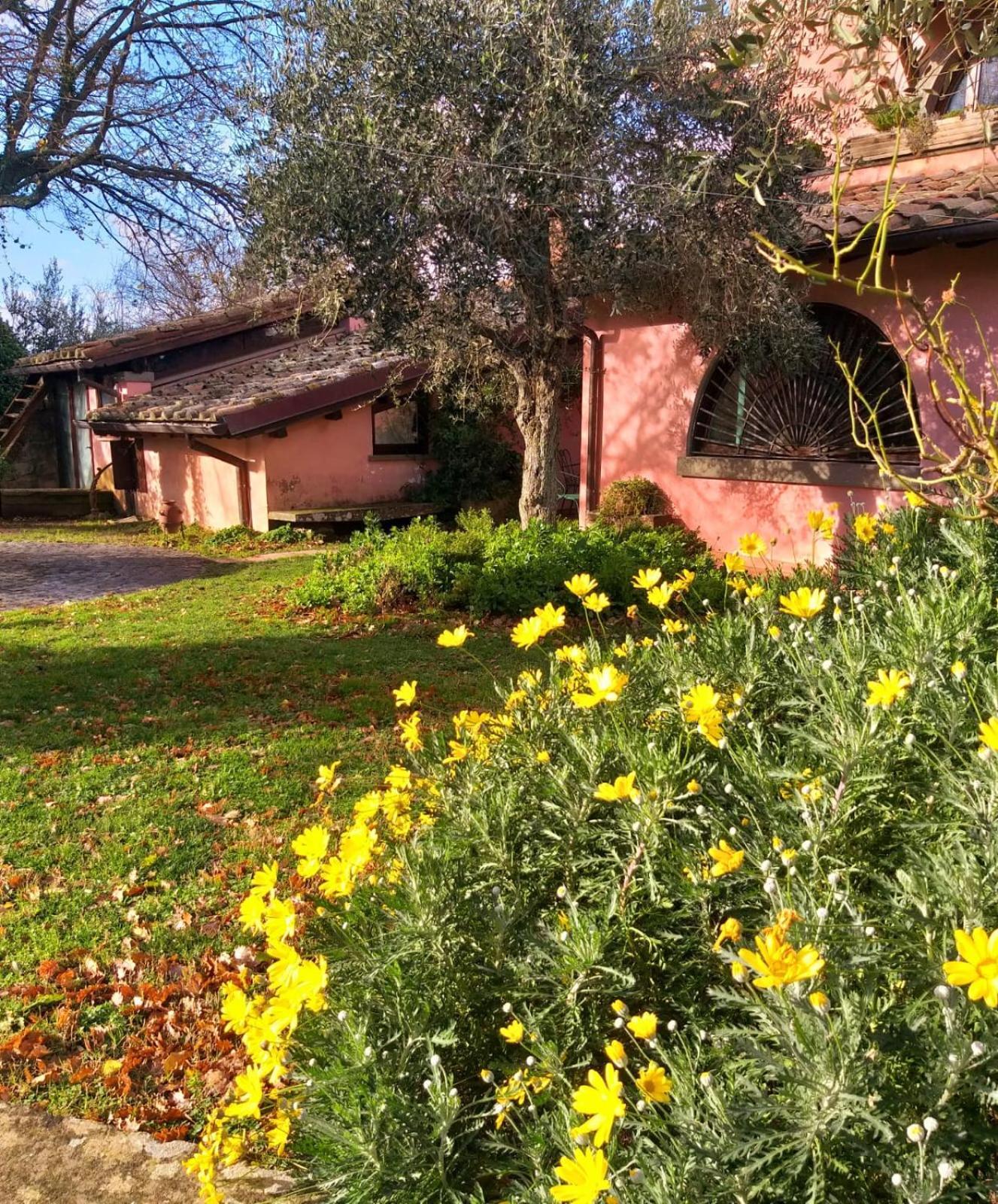 La Chiesuola Bed and Breakfast Bagnaia  Eksteriør billede